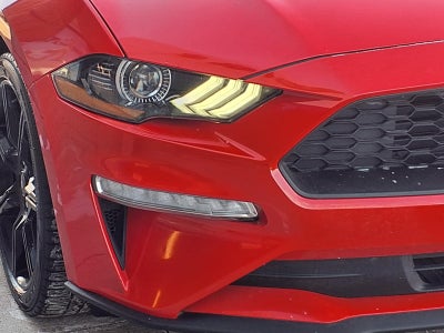 2019 Ford Mustang EcoBoost