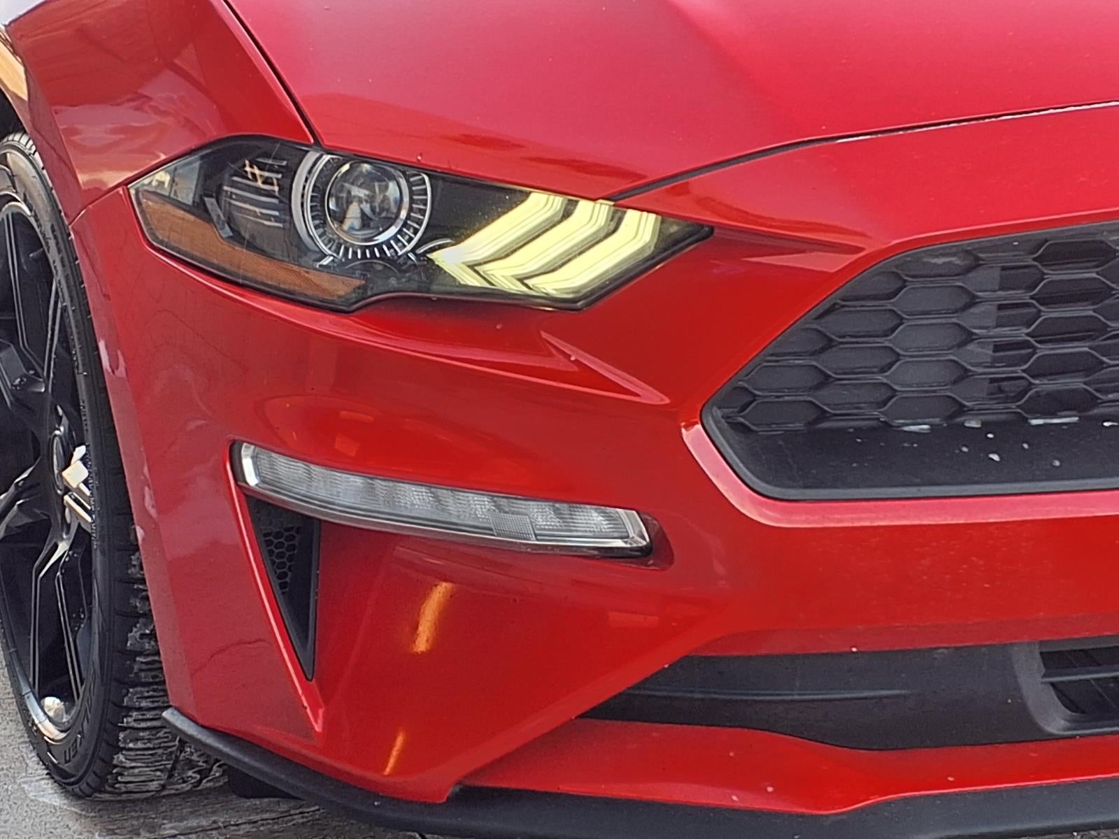 2019 Ford Mustang EcoBoost